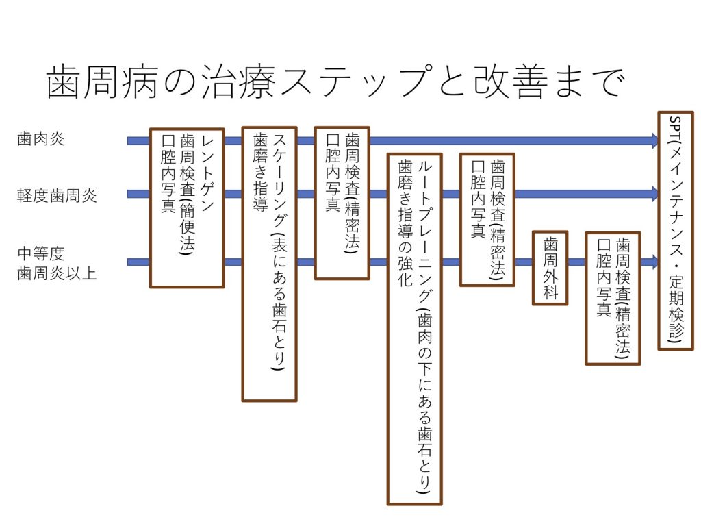 歯周治療のステップ概略