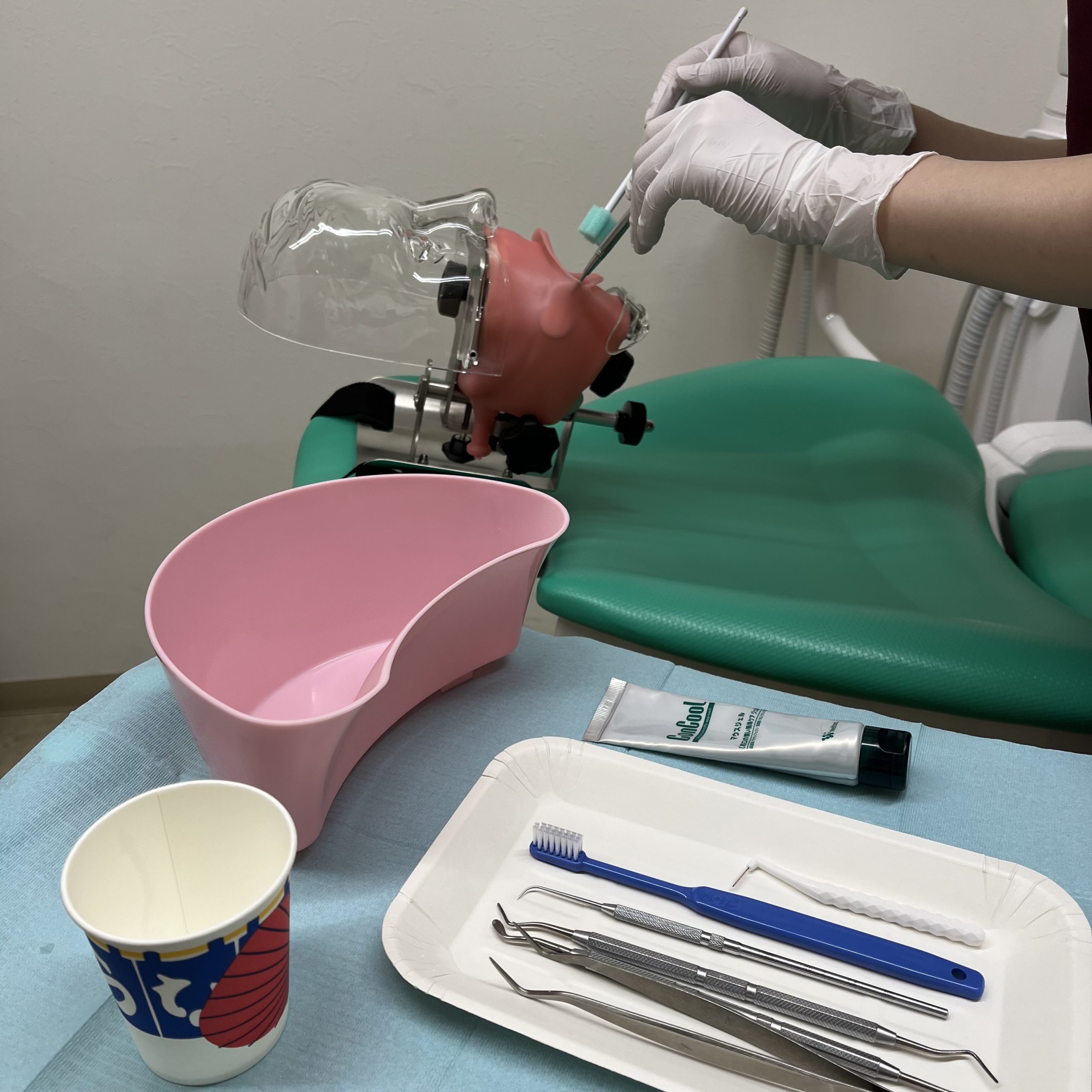 歯列の模型とファントムをつかって歯科訪問診療に関する院内研修を行いました